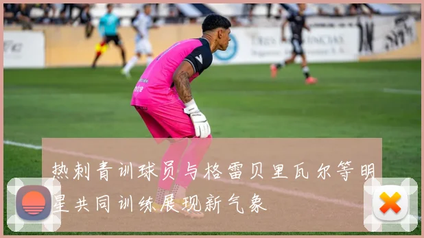 热刺青训球员与格雷贝里瓦尔等明星共同训练展现新气象